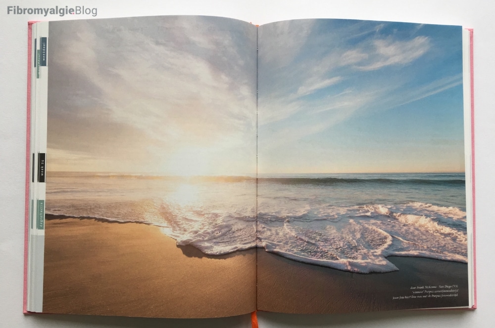 Purpuz planner - foto