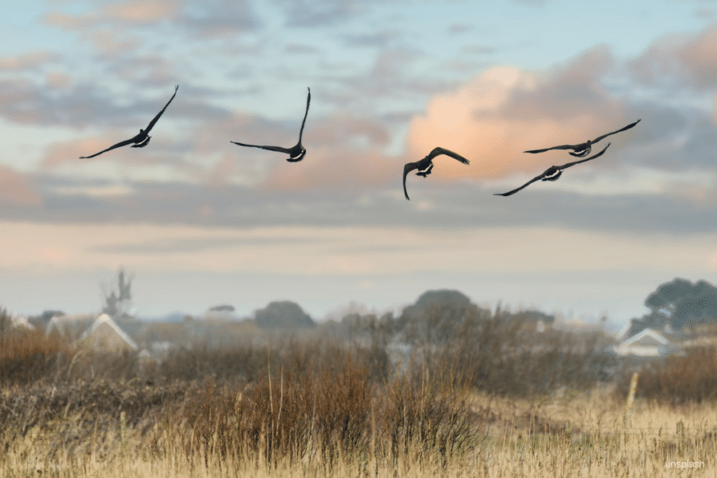 acceptatieproces fibromyalgie