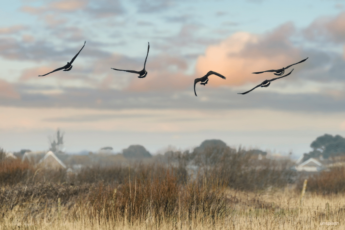 acceptatieproces fibromyalgie