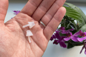 Flare calmer oordopjes review