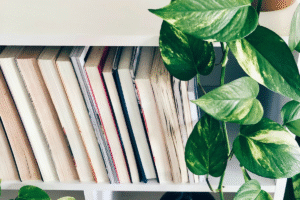 beste boeken perfectionisme