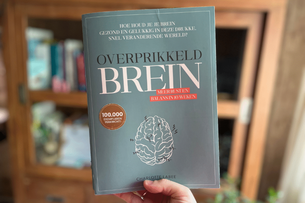 boeken over stress - overprikkeld brein
