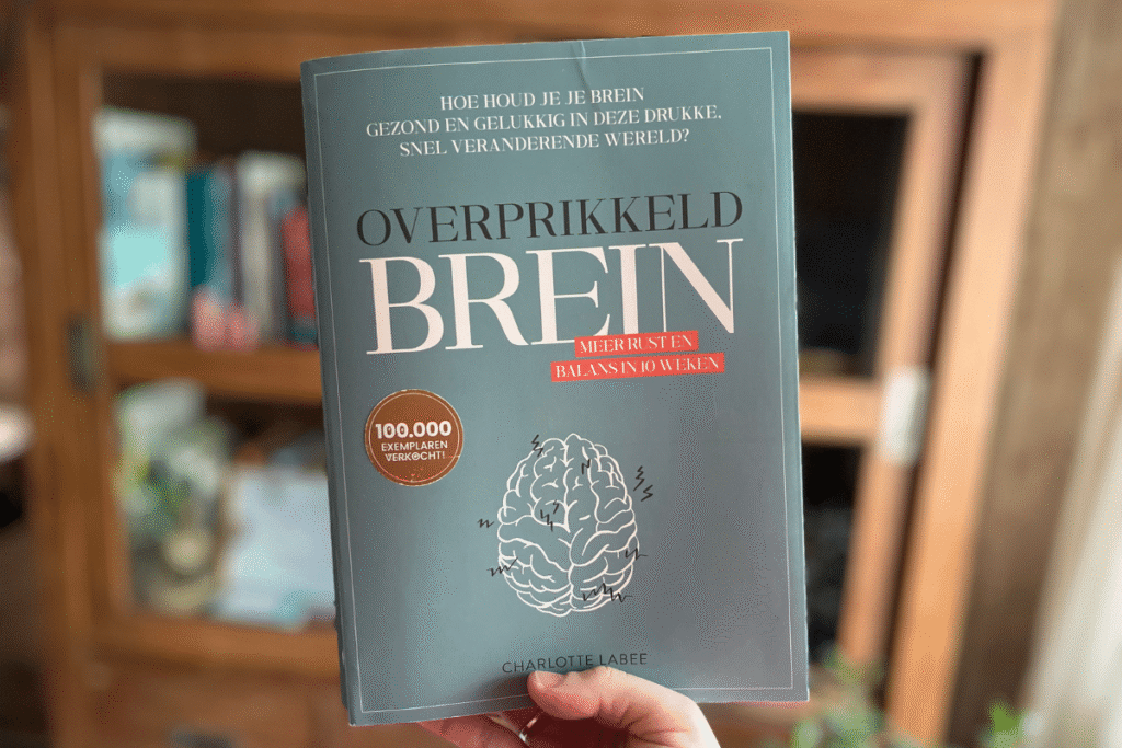 review overprikkeld brein