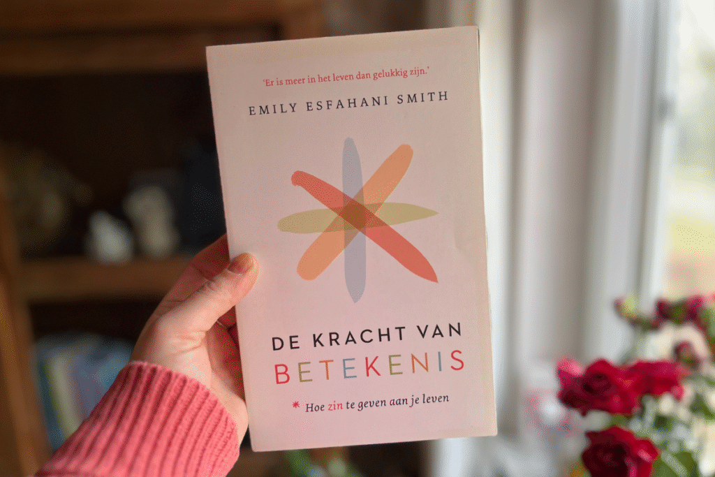 Beste Boeken over Mindset - kracht van betekenis