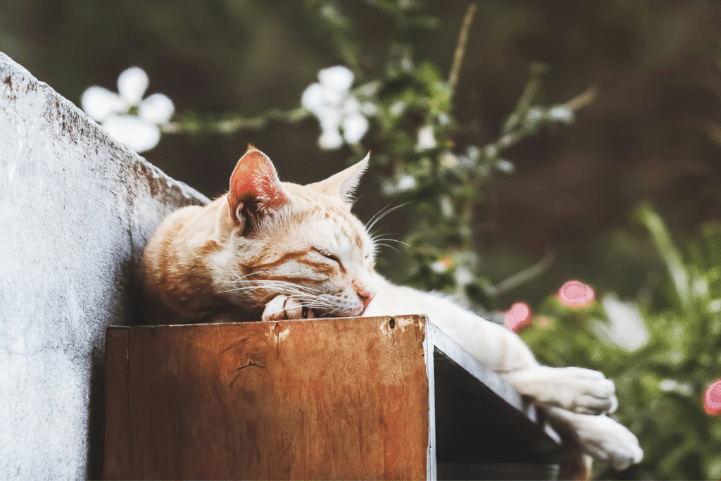 tips om van rust nemen een gewoonte te maken